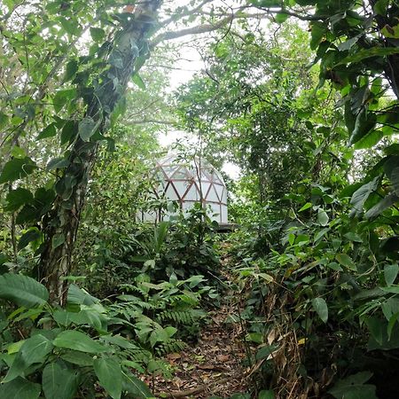Taorayina Nature Lodge- Immersed In The Forest 埃尔扎伊诺 外观 照片