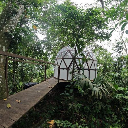 Taorayina Nature Lodge- Immersed In The Forest 埃尔扎伊诺 外观 照片