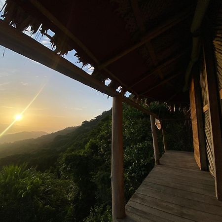Taorayina Nature Lodge- Immersed In The Forest 埃尔扎伊诺 外观 照片
