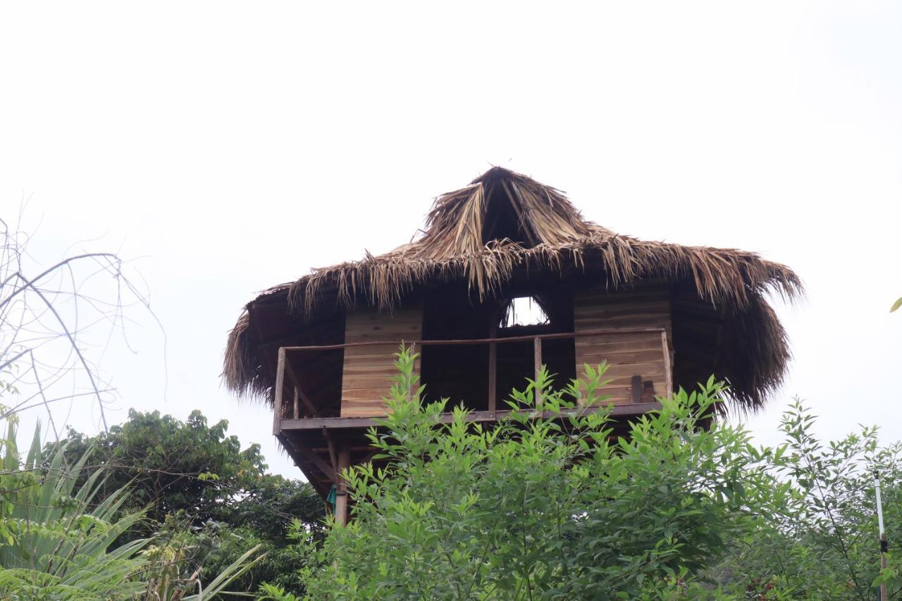 Taorayina Nature Lodge- Immersed In The Forest 埃尔扎伊诺 外观 照片