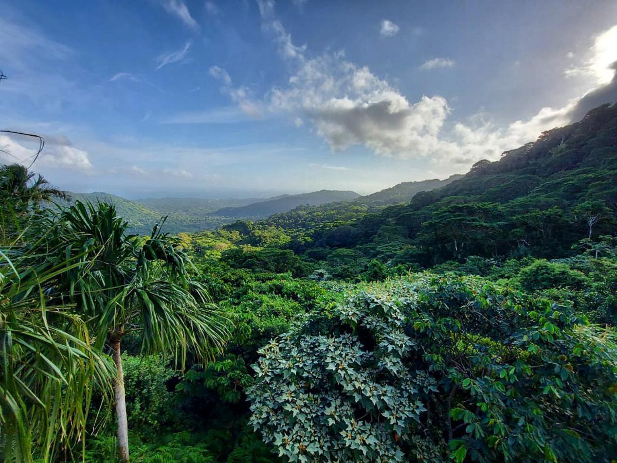 Taorayina Nature Lodge- Immersed In The Forest 埃尔扎伊诺 外观 照片