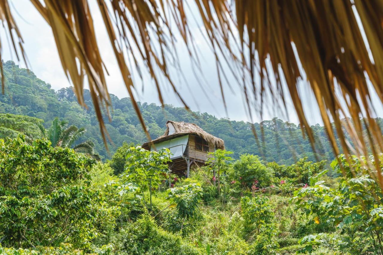 Taorayina Nature Lodge- Immersed In The Forest 埃尔扎伊诺 外观 照片