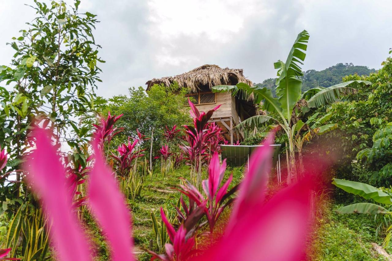 Taorayina Nature Lodge- Immersed In The Forest 埃尔扎伊诺 外观 照片