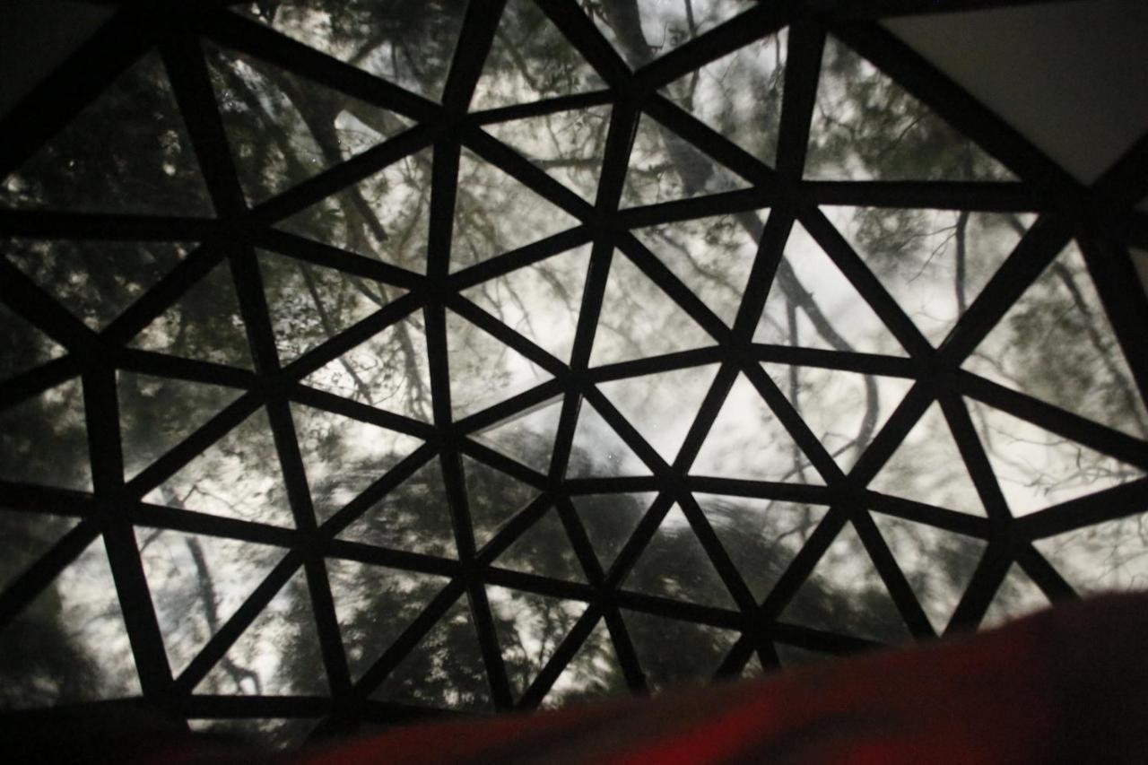 Taorayina Nature Lodge- Immersed In The Forest 埃尔扎伊诺 外观 照片