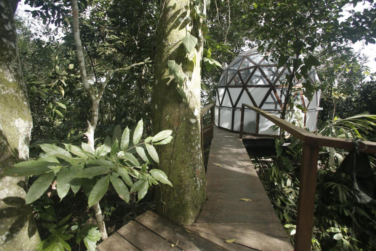 Taorayina Nature Lodge- Immersed In The Forest 埃尔扎伊诺 外观 照片