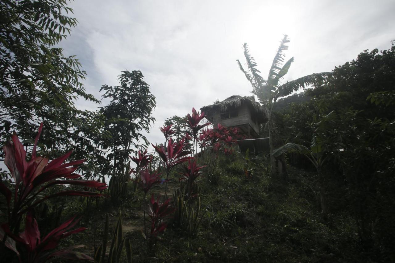 Taorayina Nature Lodge- Immersed In The Forest 埃尔扎伊诺 外观 照片