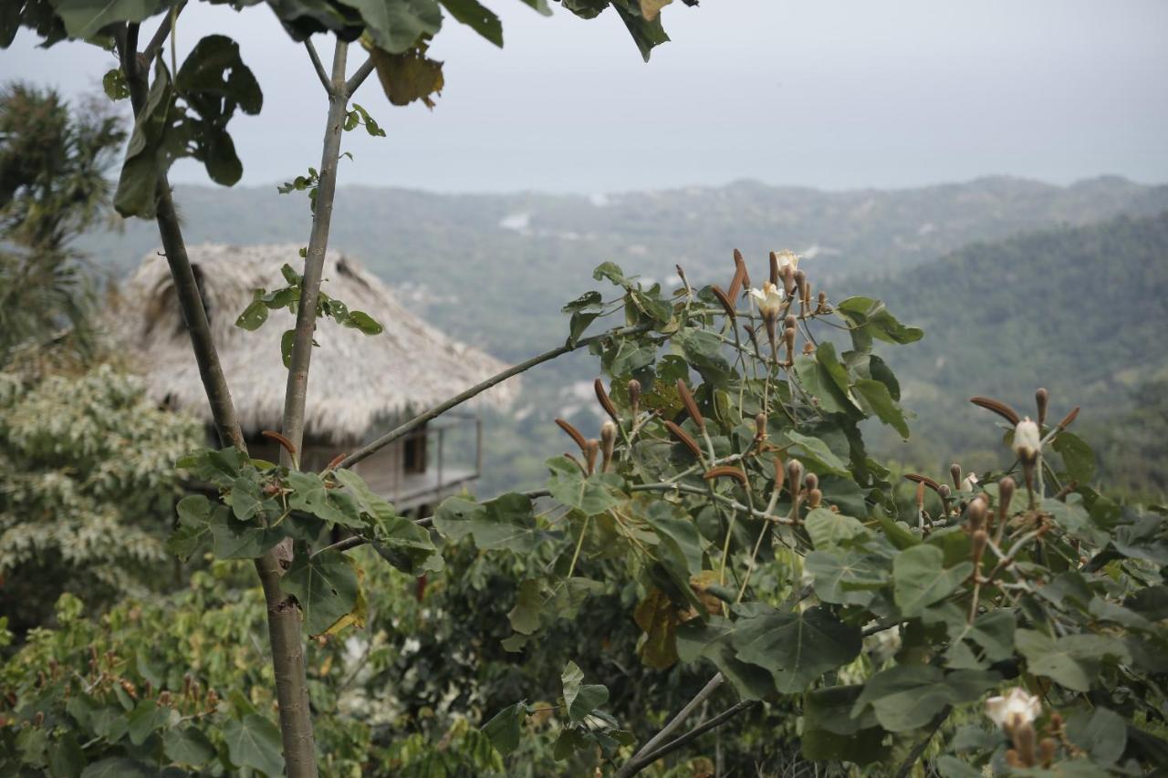 Taorayina Nature Lodge- Immersed In The Forest 埃尔扎伊诺 外观 照片
