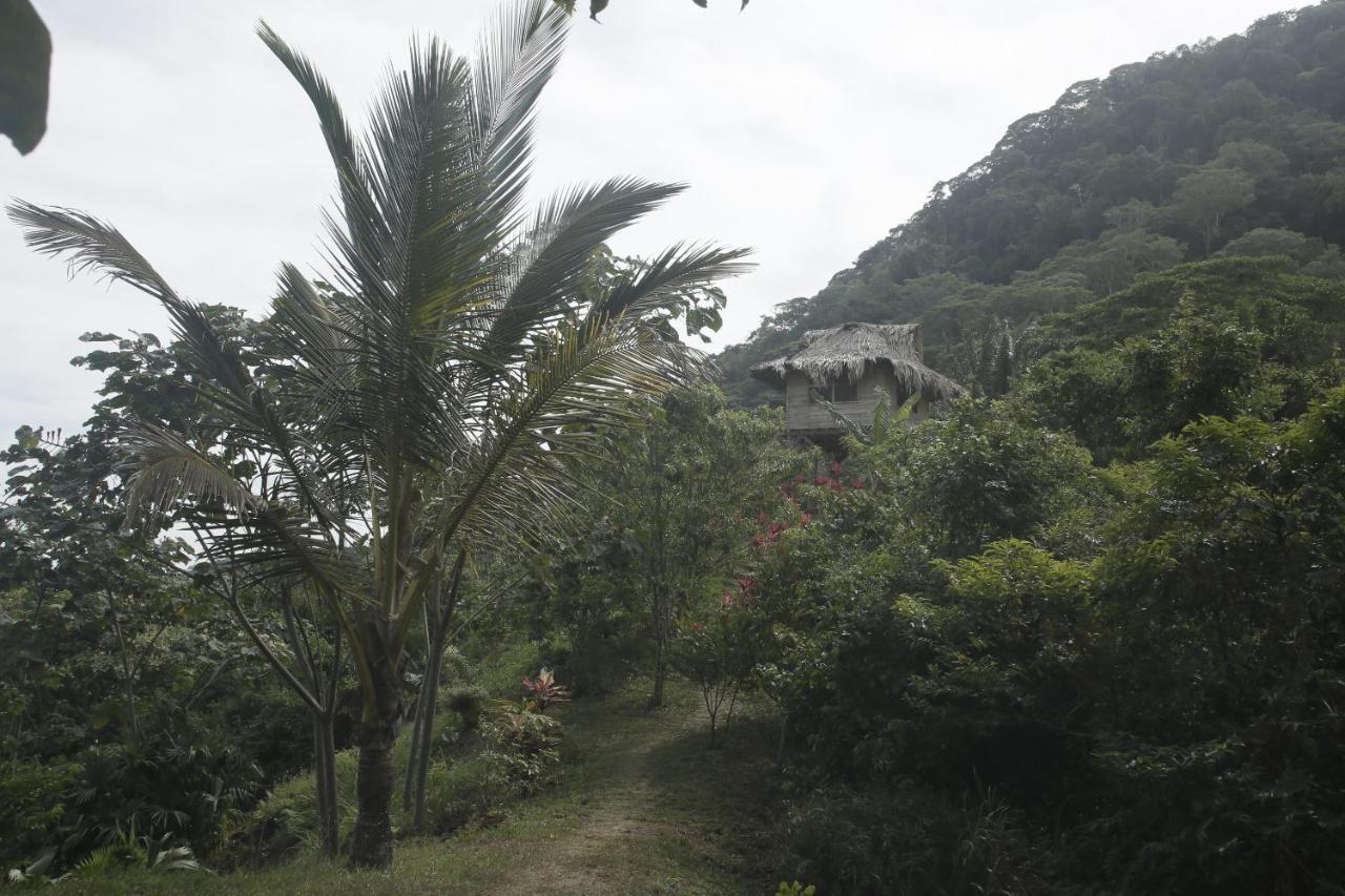 Taorayina Nature Lodge- Immersed In The Forest 埃尔扎伊诺 外观 照片