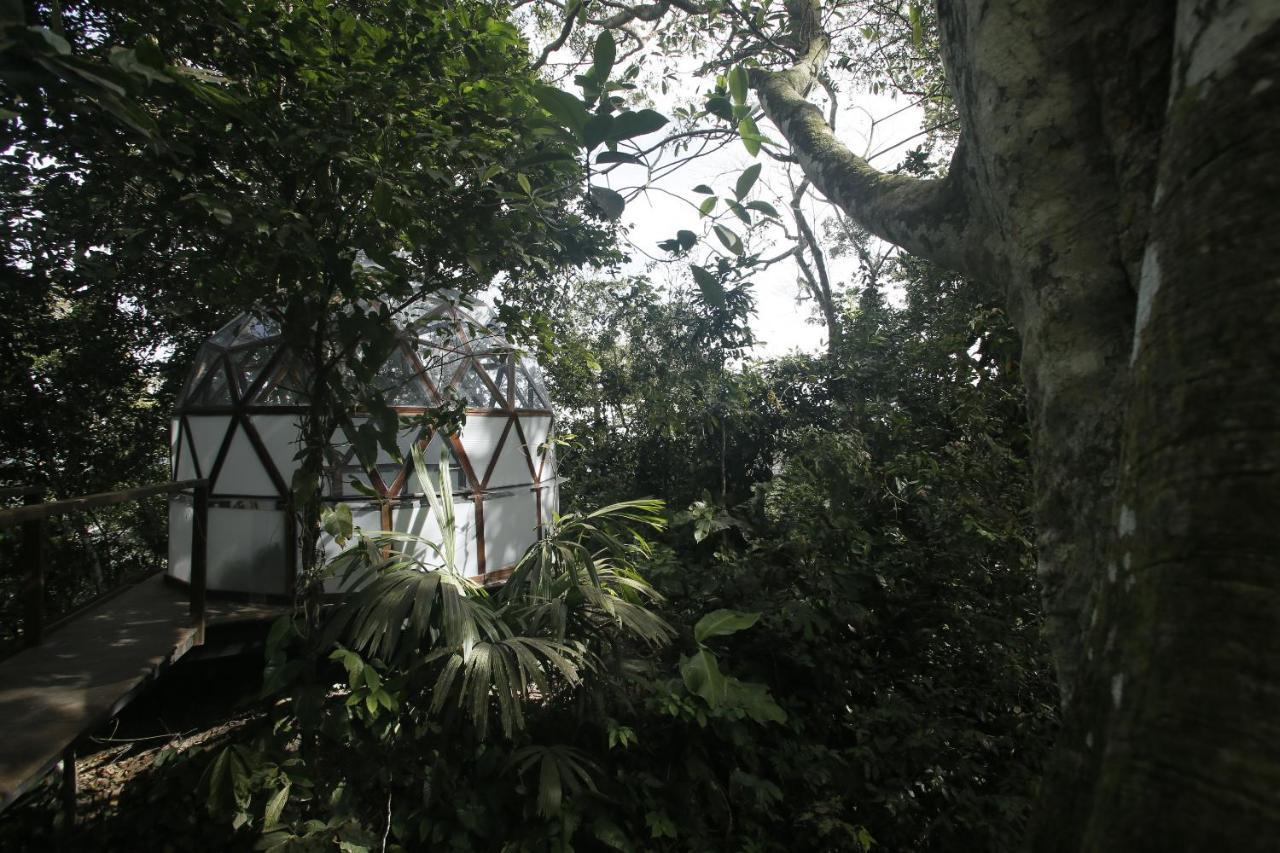Taorayina Nature Lodge- Immersed In The Forest 埃尔扎伊诺 外观 照片
