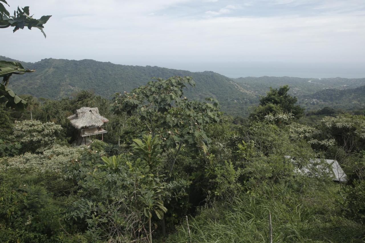 Taorayina Nature Lodge- Immersed In The Forest 埃尔扎伊诺 外观 照片