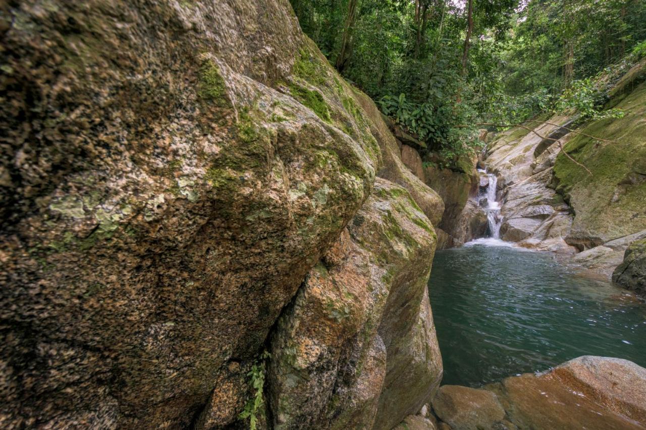 Taorayina Nature Lodge- Immersed In The Forest 埃尔扎伊诺 外观 照片
