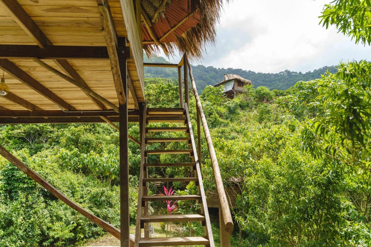 Taorayina Nature Lodge- Immersed In The Forest 埃尔扎伊诺 外观 照片