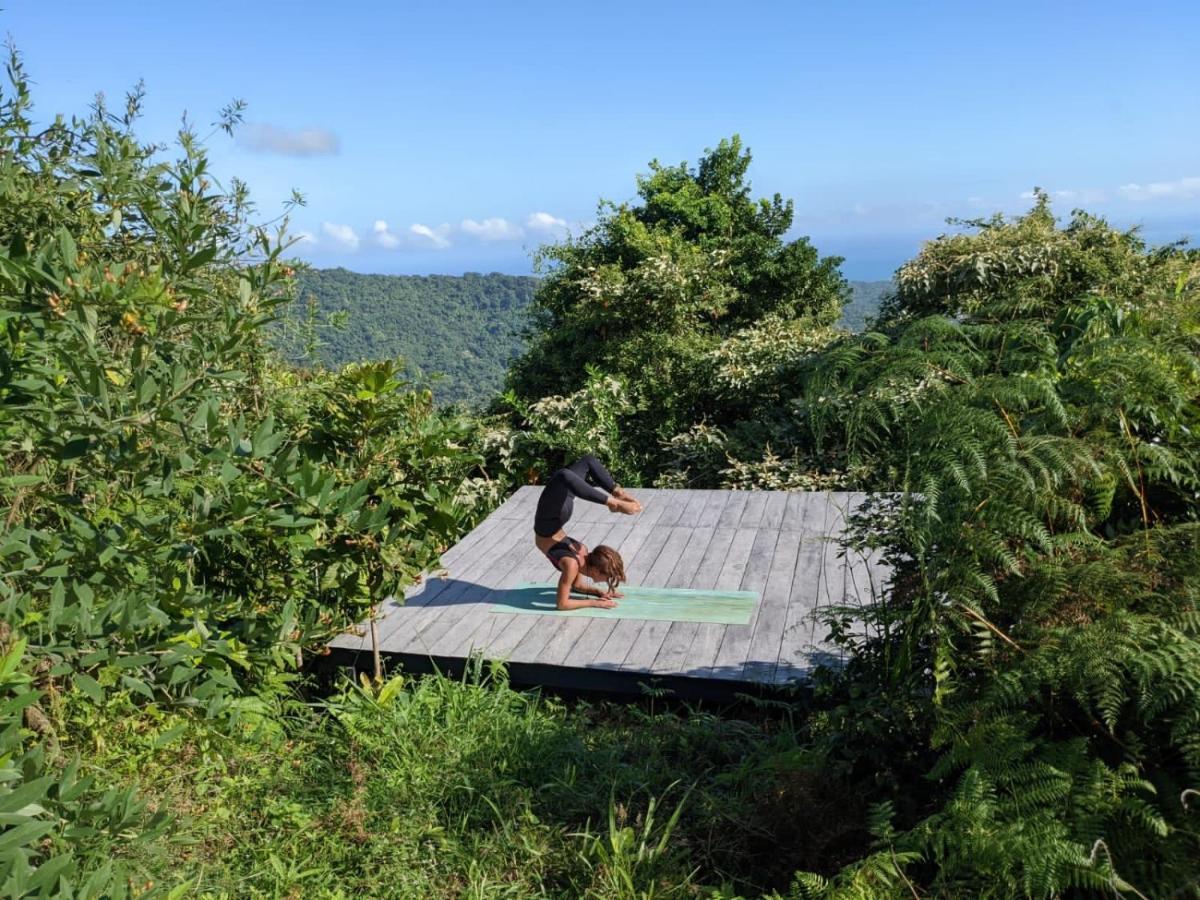 Taorayina Nature Lodge- Immersed In The Forest 埃尔扎伊诺 外观 照片