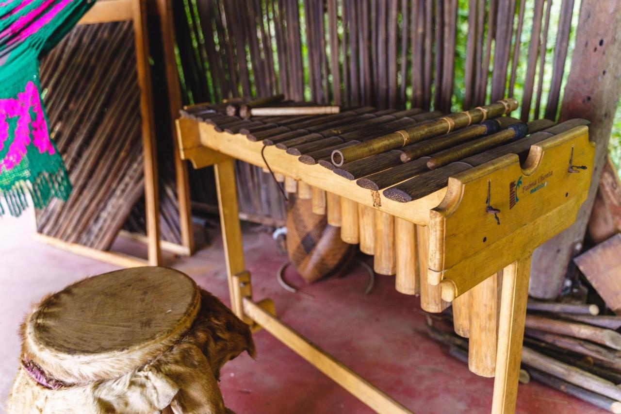 Taorayina Nature Lodge- Immersed In The Forest 埃尔扎伊诺 外观 照片