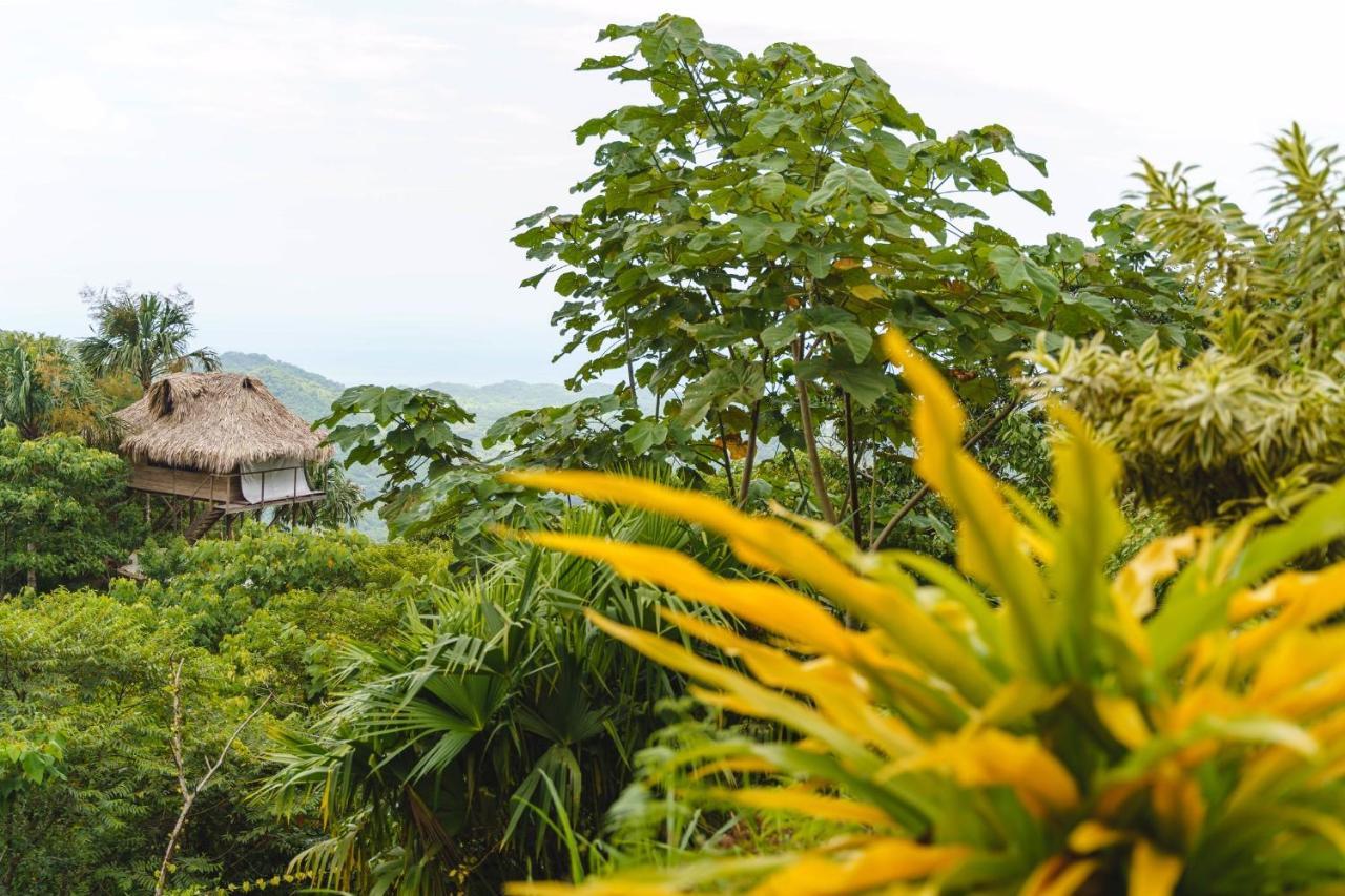 Taorayina Nature Lodge- Immersed In The Forest 埃尔扎伊诺 外观 照片