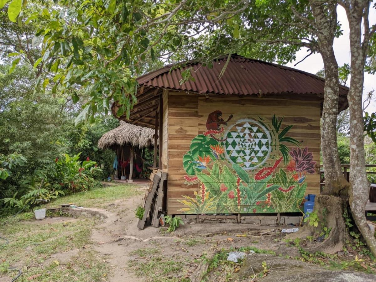 Taorayina Nature Lodge- Immersed In The Forest 埃尔扎伊诺 外观 照片