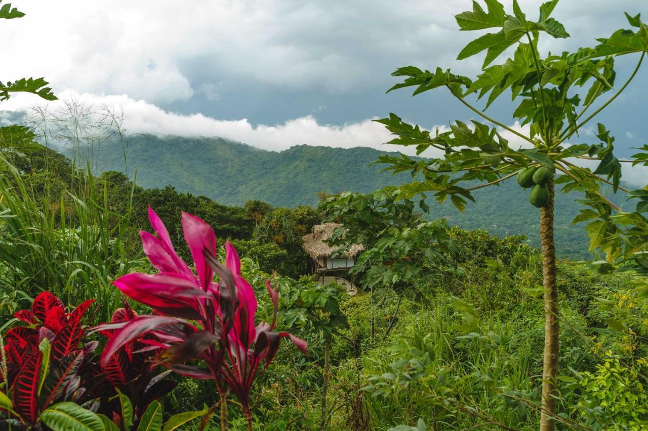Taorayina Nature Lodge- Immersed In The Forest 埃尔扎伊诺 外观 照片