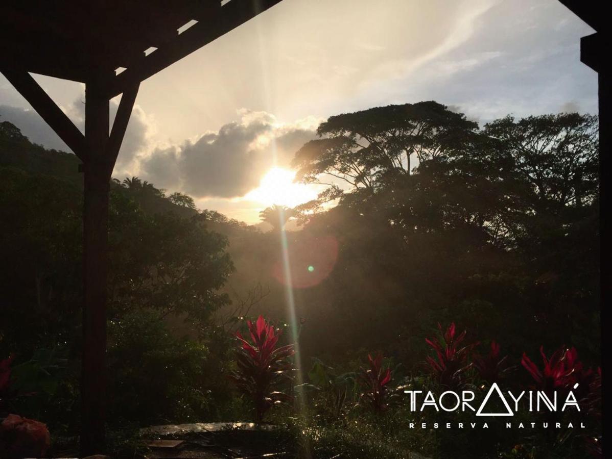 Taorayina Nature Lodge- Immersed In The Forest 埃尔扎伊诺 外观 照片