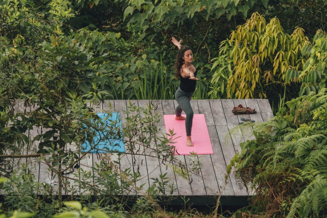 Taorayina Nature Lodge- Immersed In The Forest 埃尔扎伊诺 外观 照片