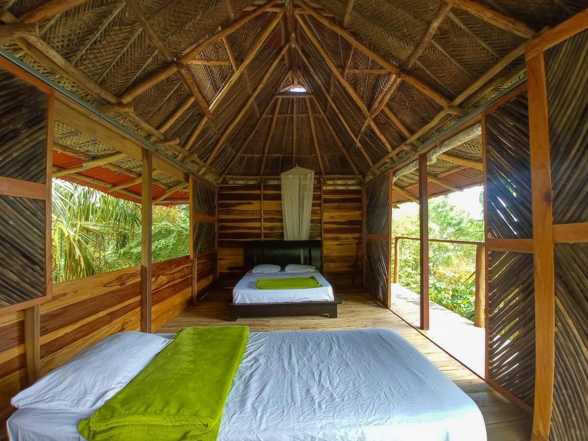 Taorayina Nature Lodge- Immersed In The Forest 埃尔扎伊诺 外观 照片