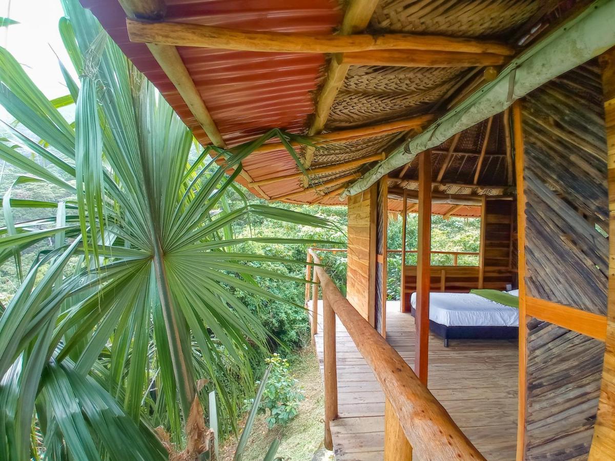 Taorayina Nature Lodge- Immersed In The Forest 埃尔扎伊诺 外观 照片