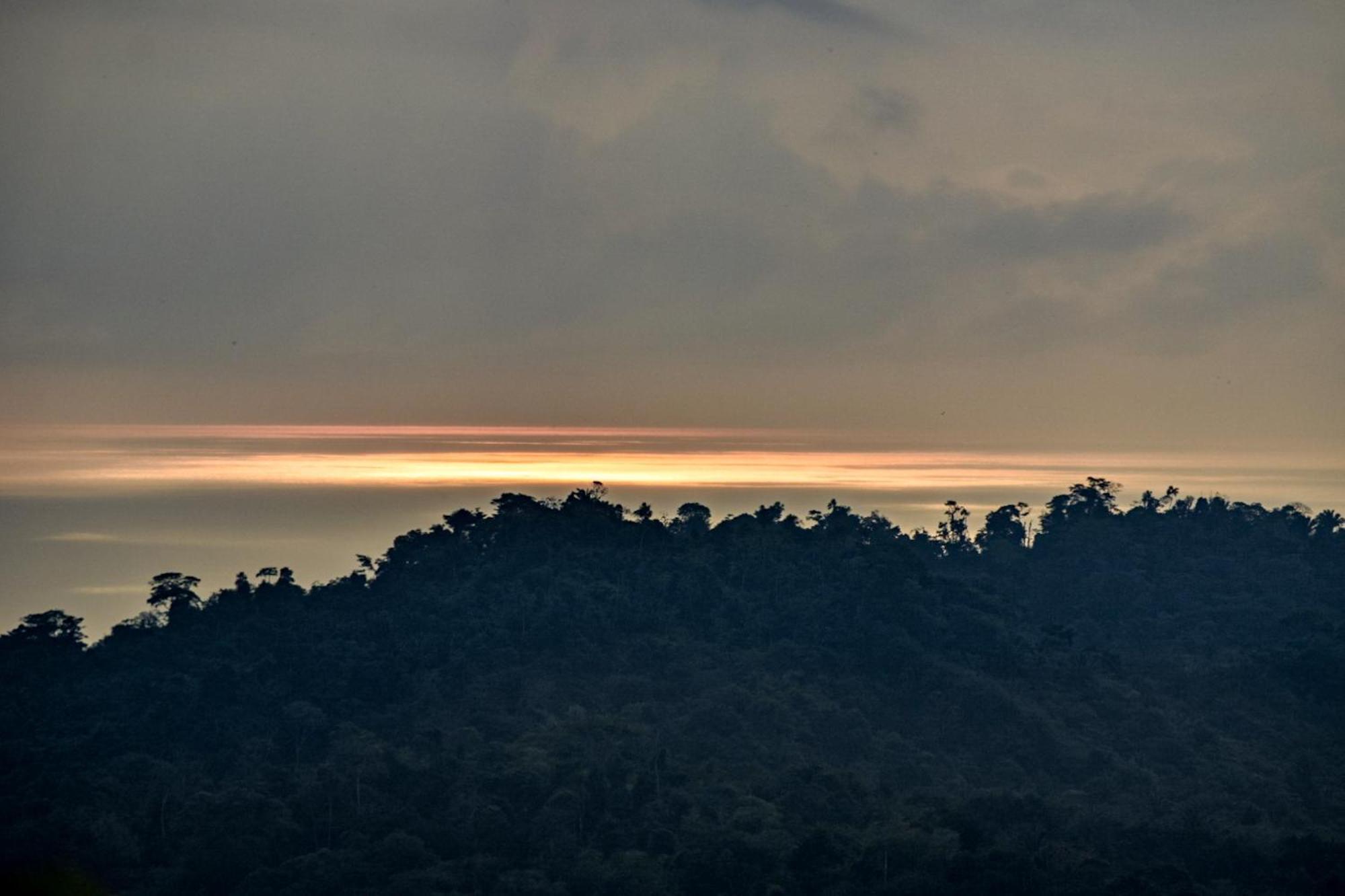 Taorayina Nature Lodge- Immersed In The Forest 埃尔扎伊诺 外观 照片