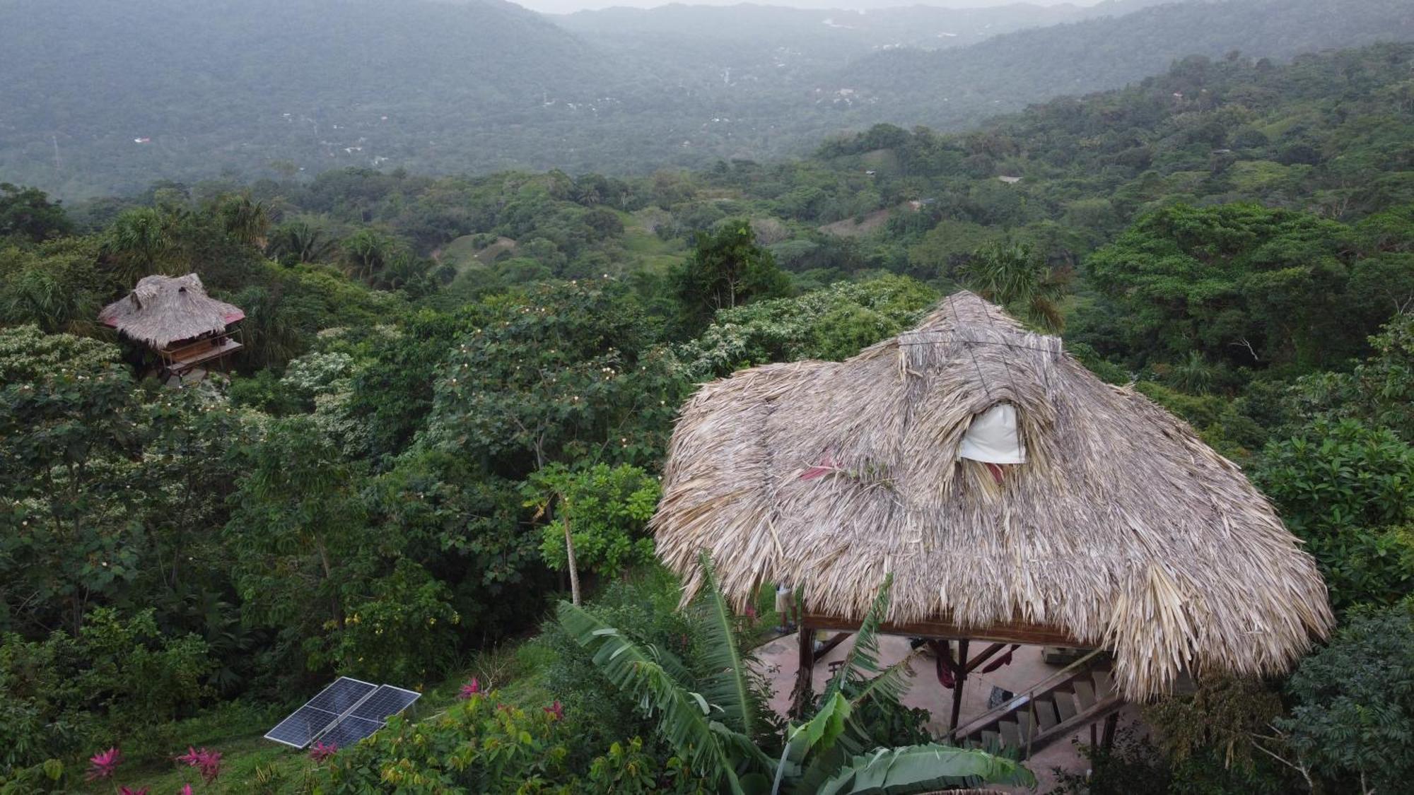 Taorayina Nature Lodge- Immersed In The Forest 埃尔扎伊诺 外观 照片
