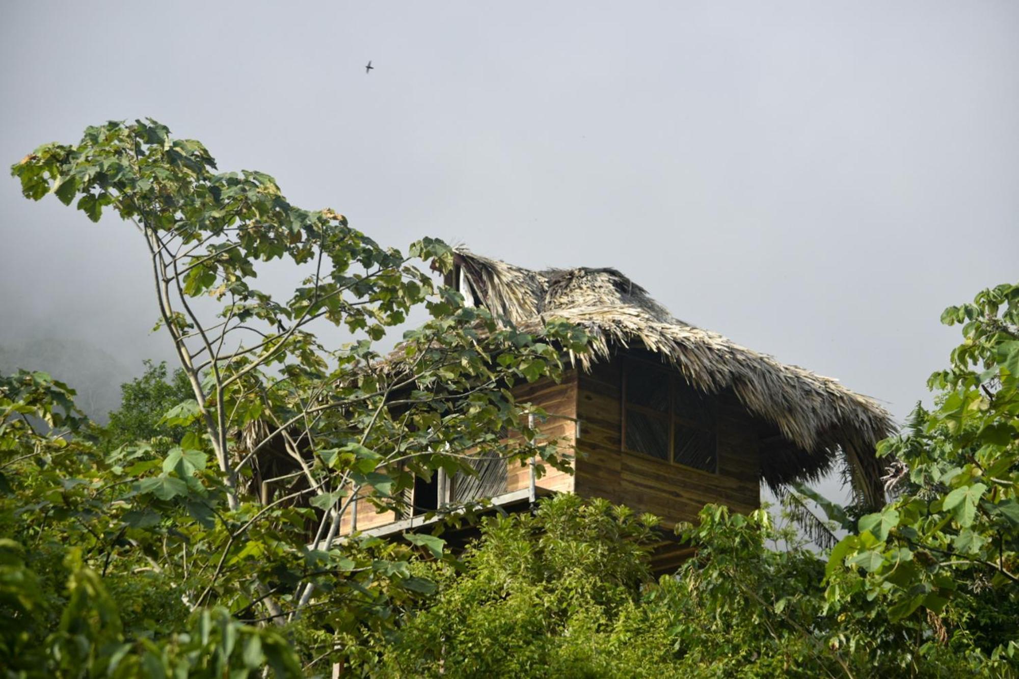 Taorayina Nature Lodge- Immersed In The Forest 埃尔扎伊诺 外观 照片