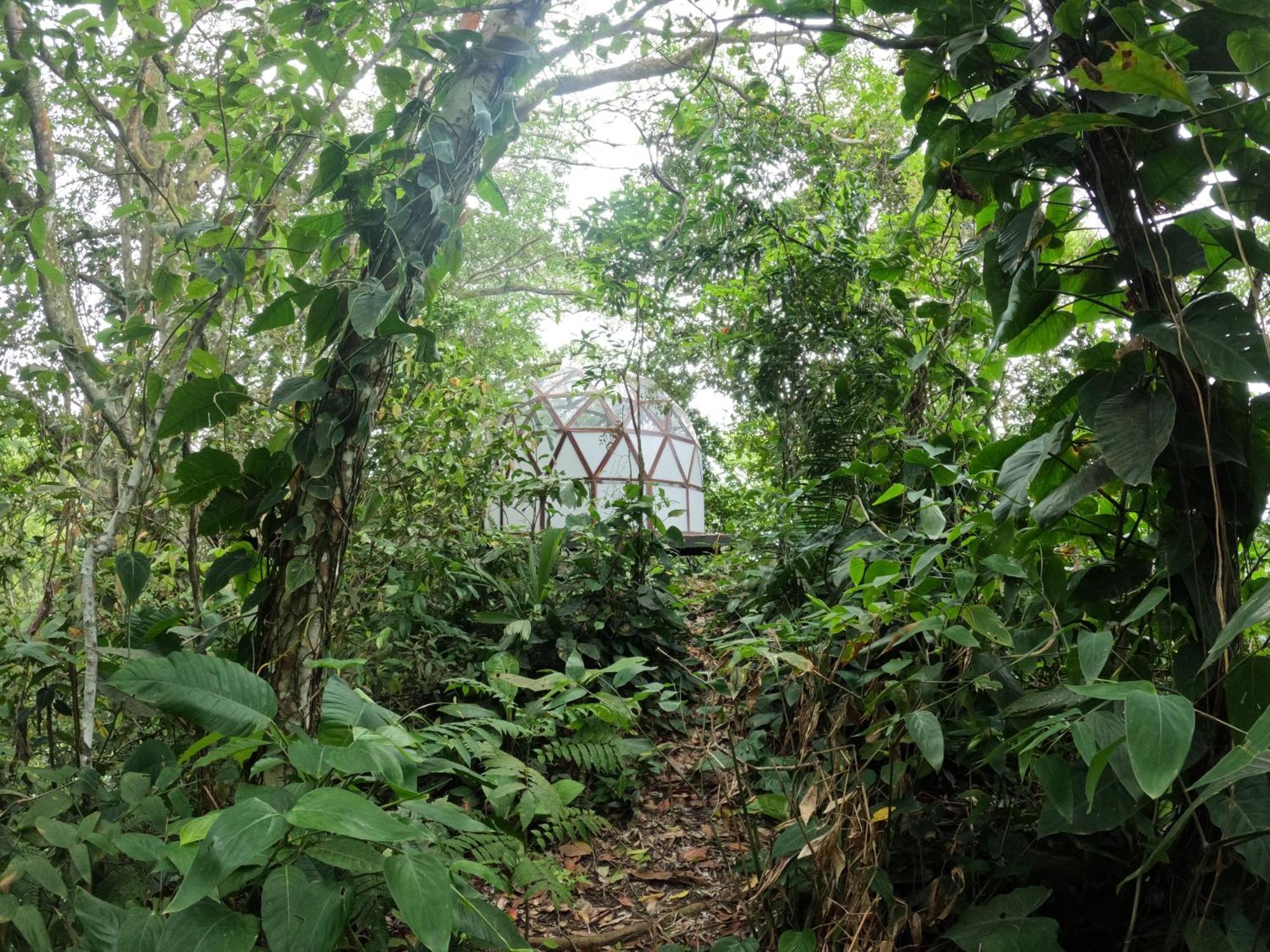 Taorayina Nature Lodge- Immersed In The Forest 埃尔扎伊诺 外观 照片