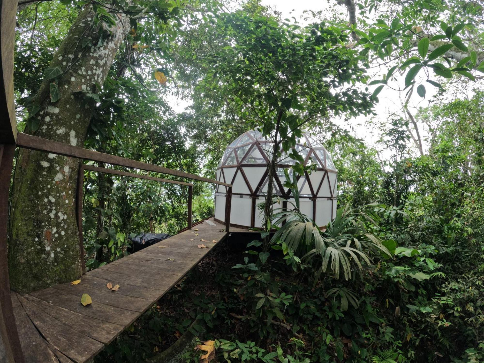 Taorayina Nature Lodge- Immersed In The Forest 埃尔扎伊诺 外观 照片
