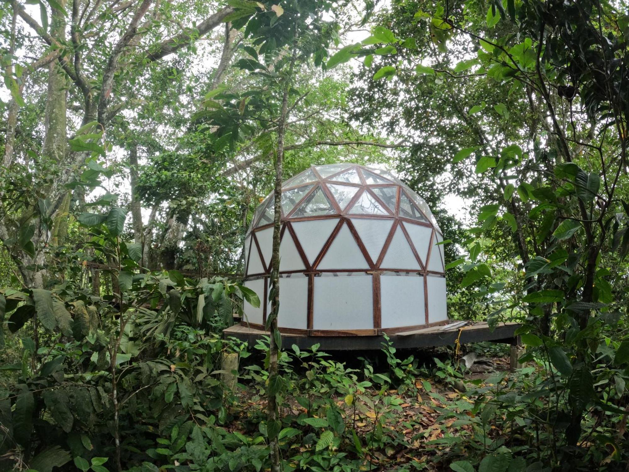 Taorayina Nature Lodge- Immersed In The Forest 埃尔扎伊诺 外观 照片