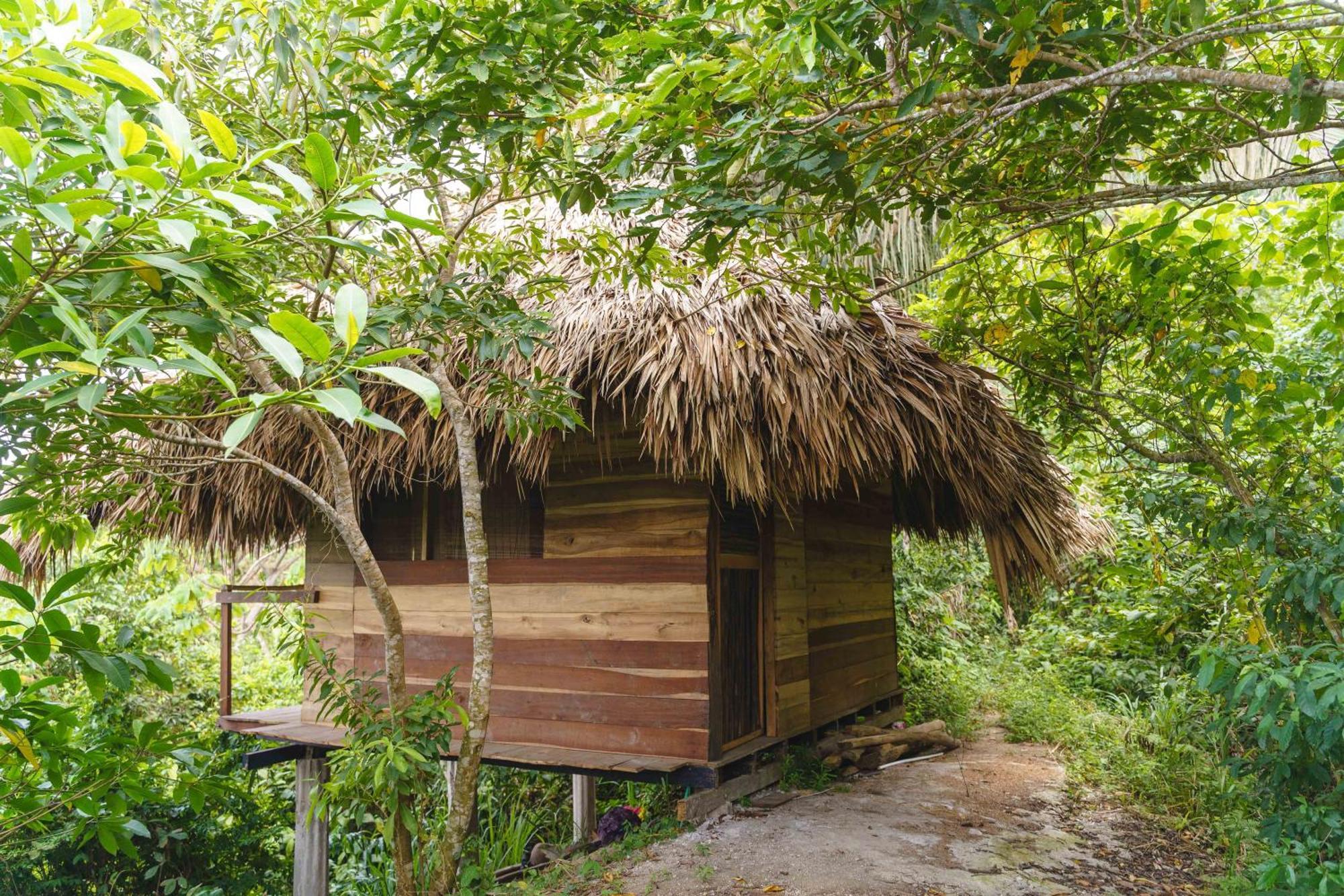 Taorayina Nature Lodge- Immersed In The Forest 埃尔扎伊诺 外观 照片
