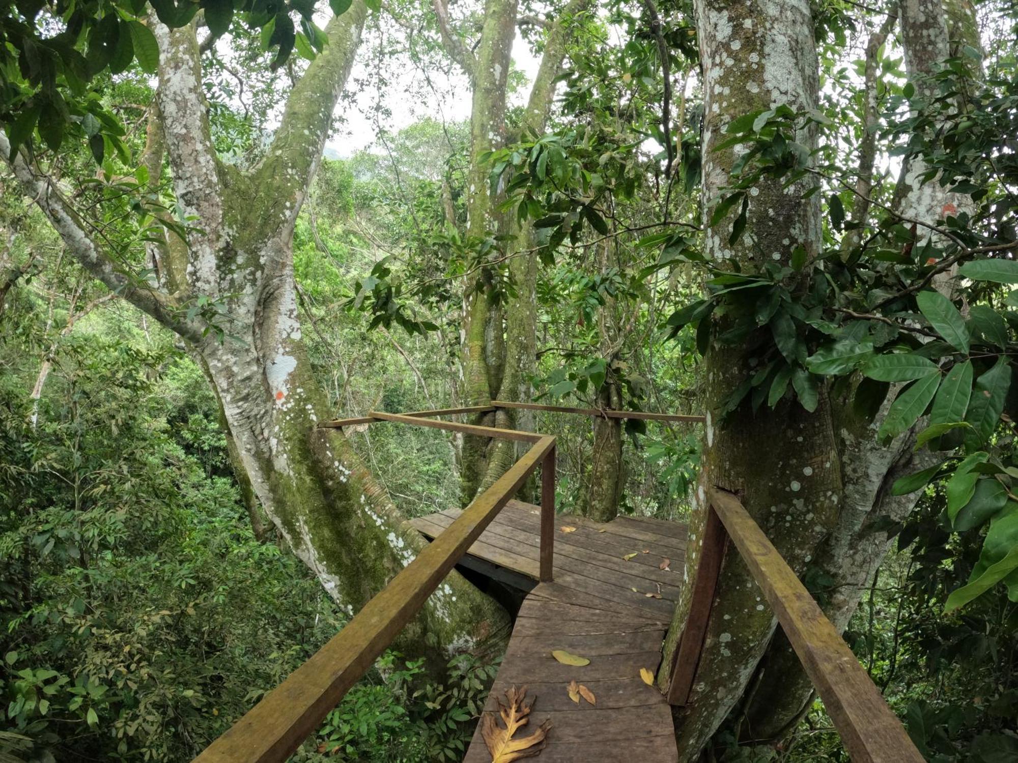 Taorayina Nature Lodge- Immersed In The Forest 埃尔扎伊诺 外观 照片