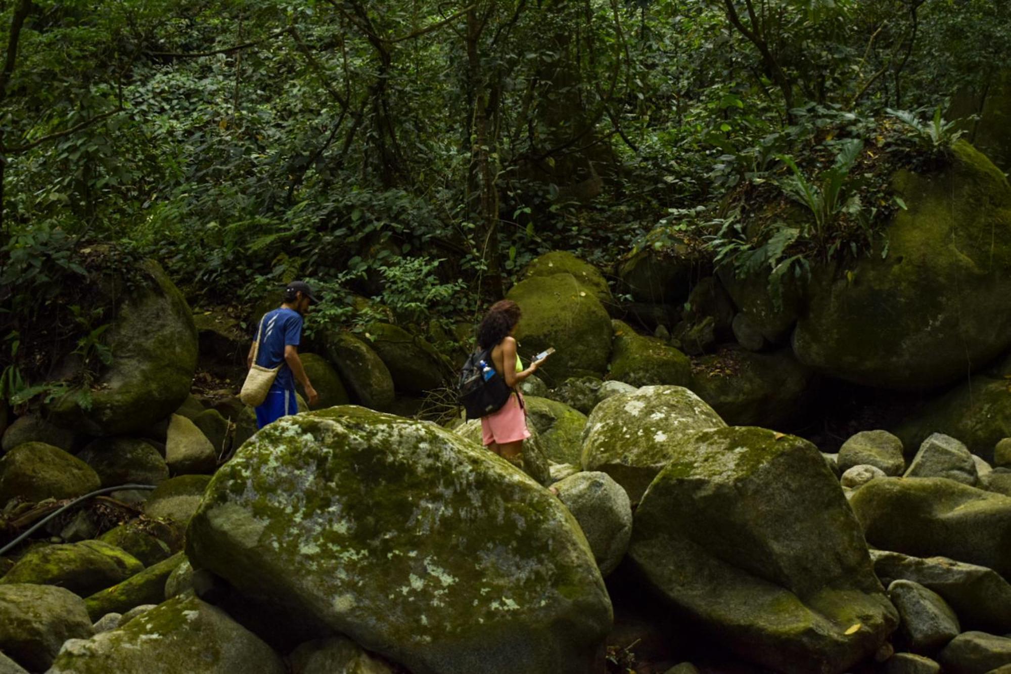 Taorayina Nature Lodge- Immersed In The Forest 埃尔扎伊诺 外观 照片