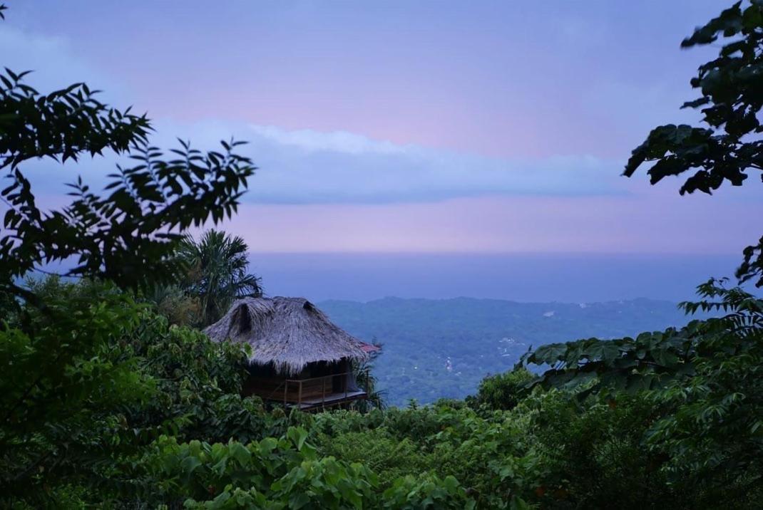 Taorayina Nature Lodge- Immersed In The Forest 埃尔扎伊诺 外观 照片