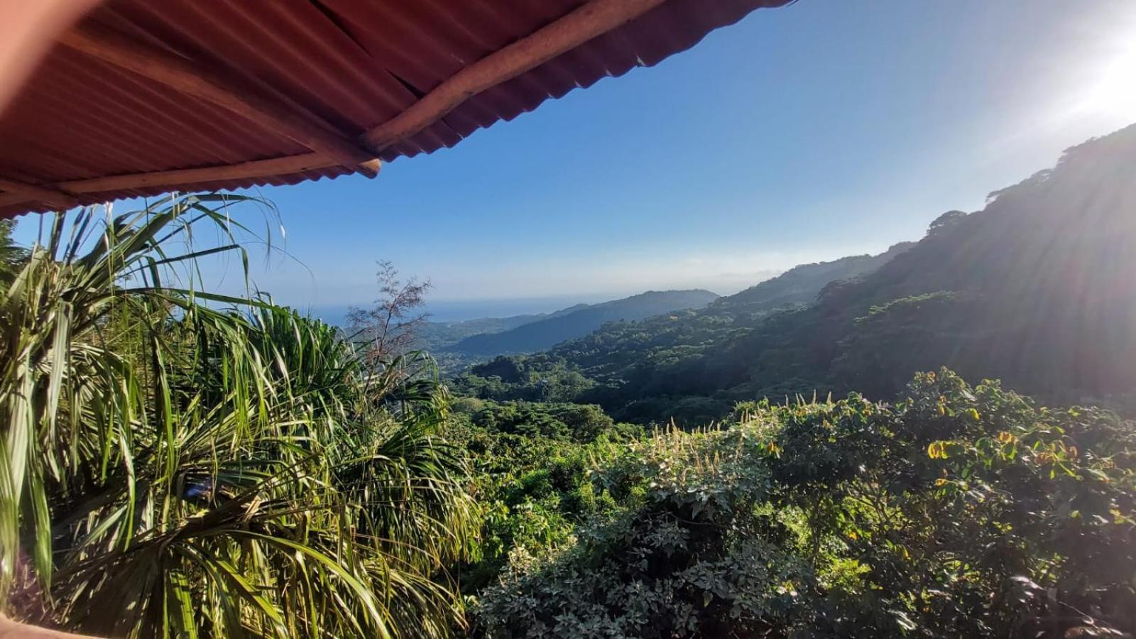 Taorayina Nature Lodge- Immersed In The Forest 埃尔扎伊诺 外观 照片