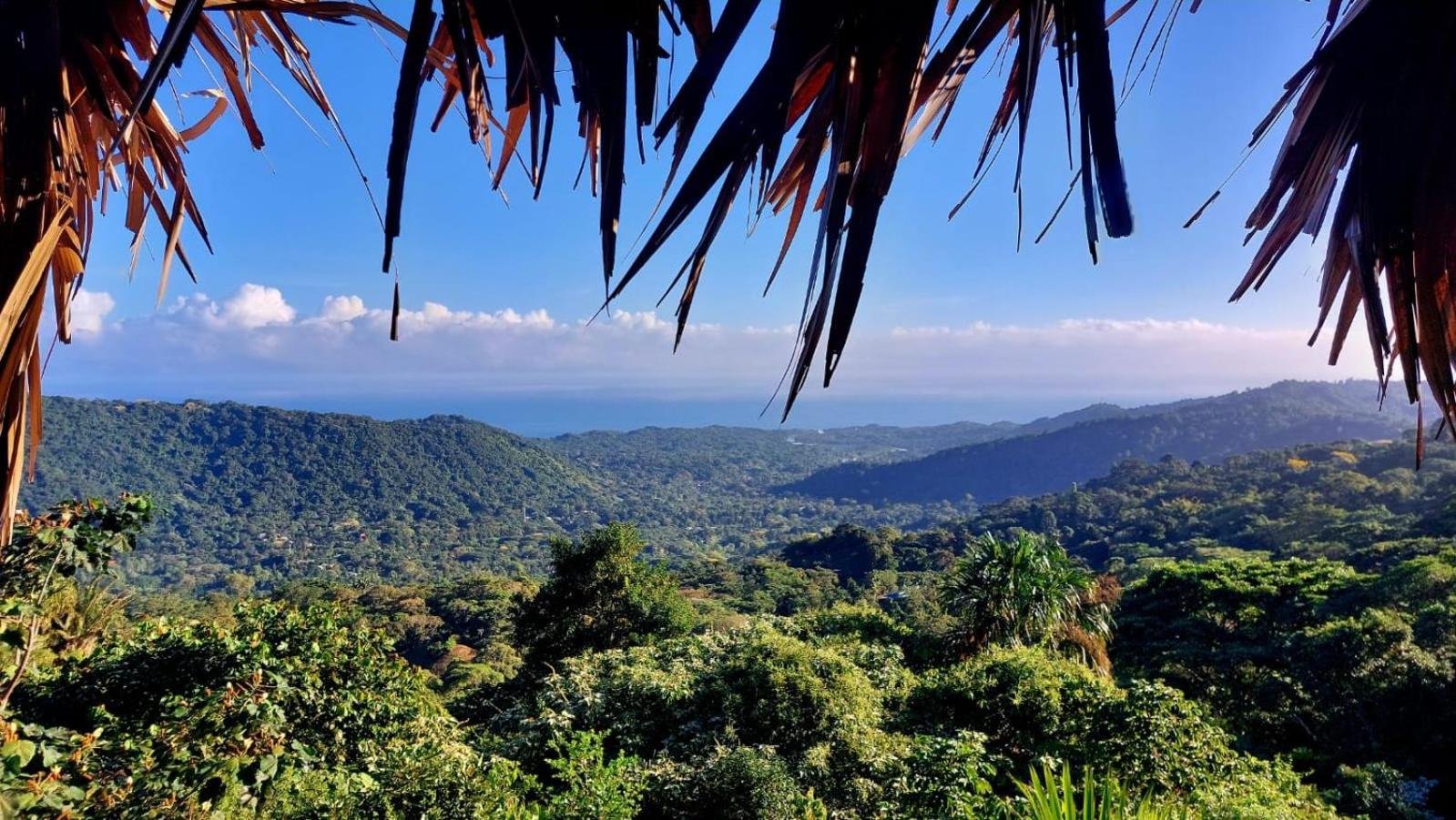 Taorayina Nature Lodge- Immersed In The Forest 埃尔扎伊诺 外观 照片
