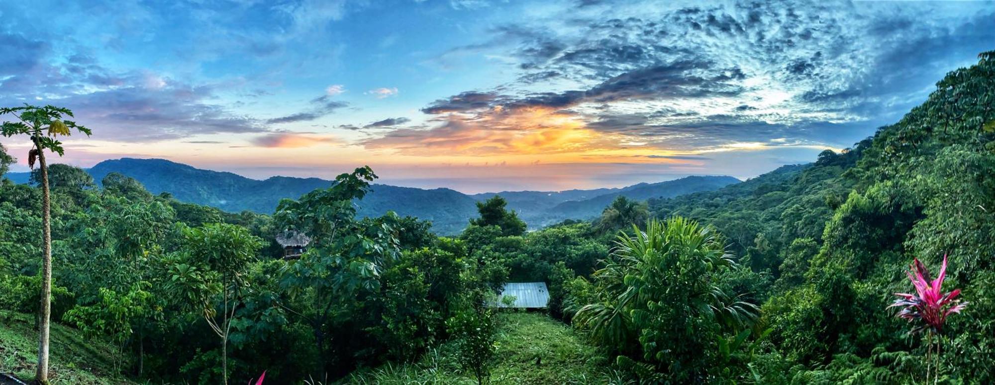 Taorayina Nature Lodge- Immersed In The Forest 埃尔扎伊诺 外观 照片