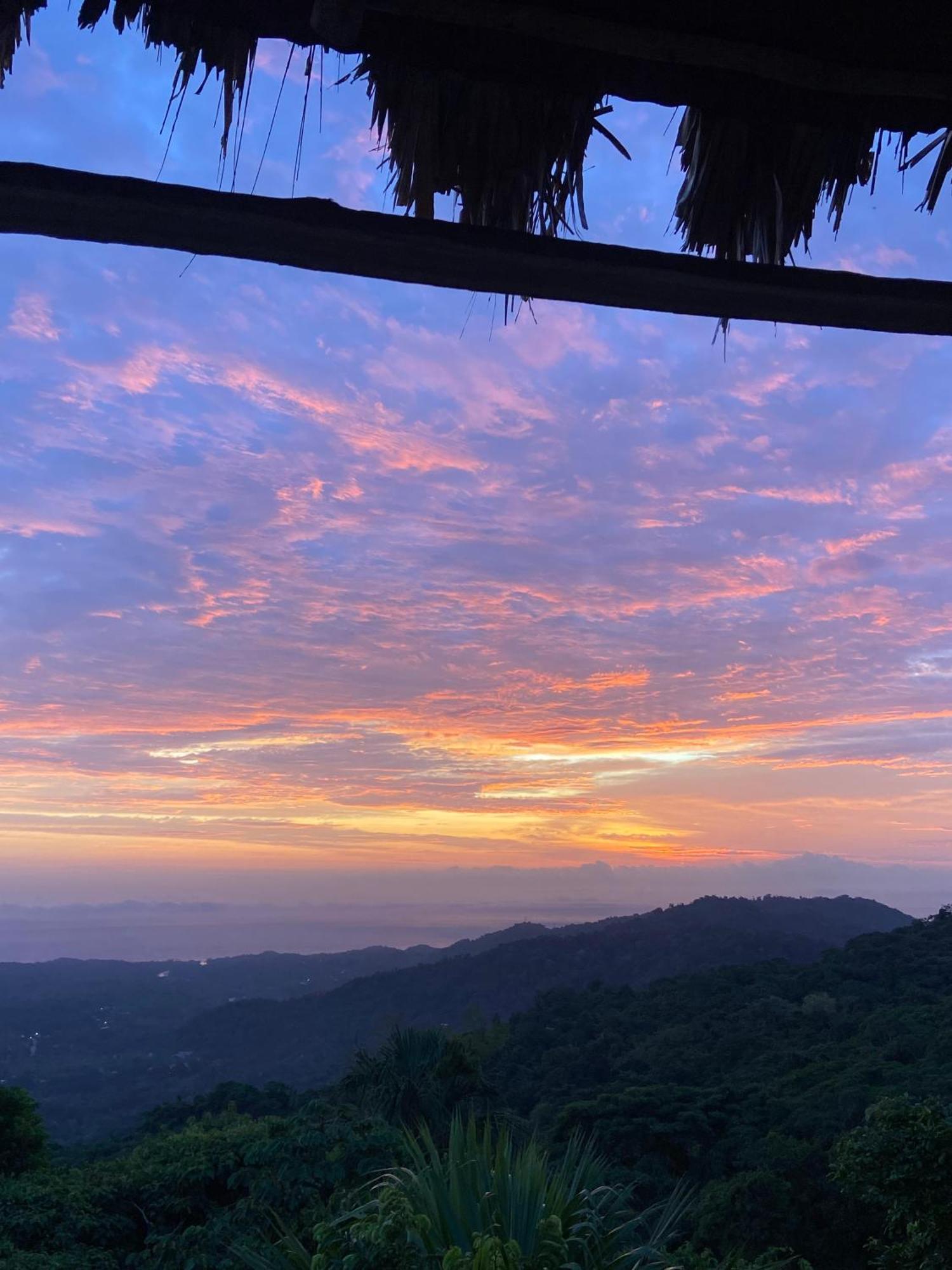 Taorayina Nature Lodge- Immersed In The Forest 埃尔扎伊诺 外观 照片