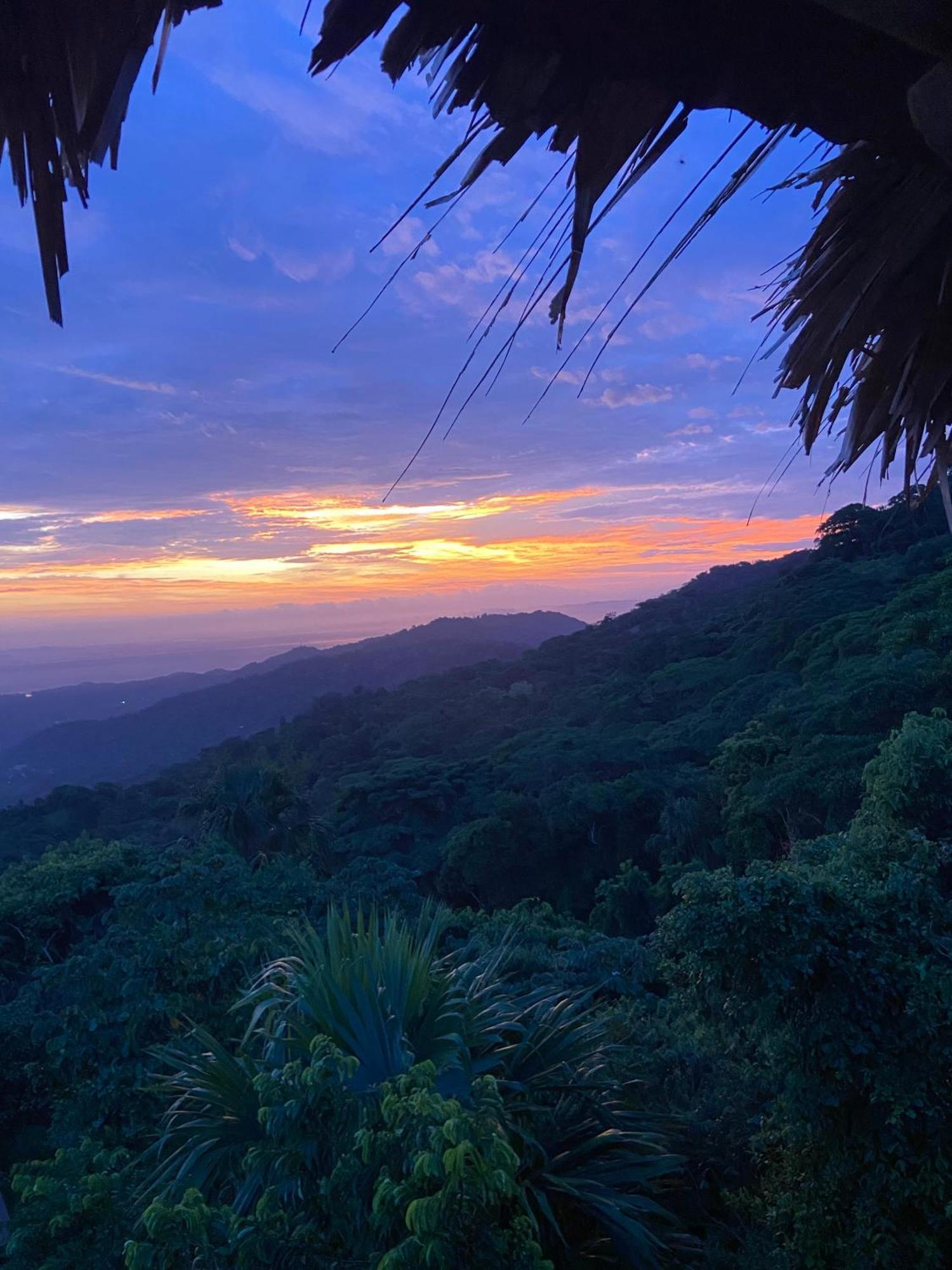 Taorayina Nature Lodge- Immersed In The Forest 埃尔扎伊诺 外观 照片